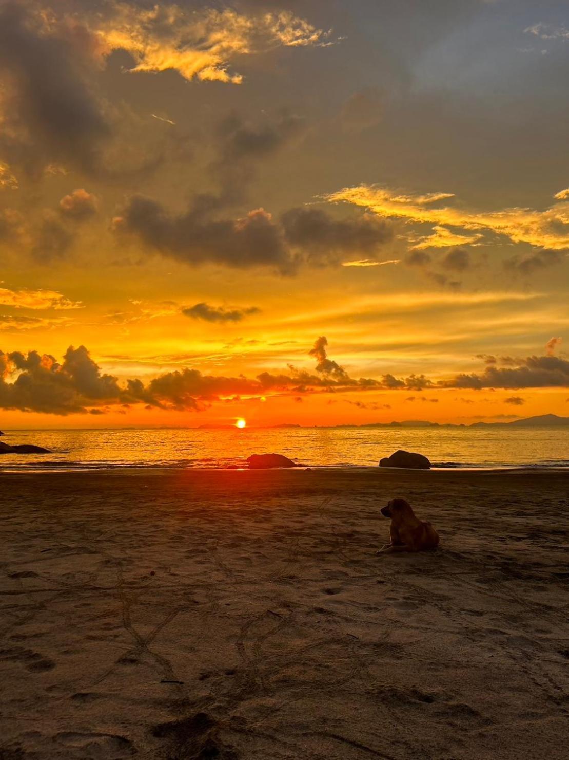 Lae Tawan Bungalow Ko Chang Zewnętrze zdjęcie
